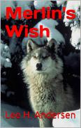 Merlin's Wish ebook